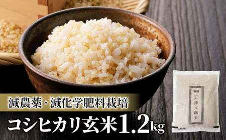 八重原産特別栽培米（減農薬・減化学肥料栽培）コシヒカリ玄米1.2kg