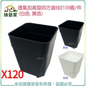 【綠藝家】透氣加高型四方盆6吋 120個/件(黑色.白色共2色可選)