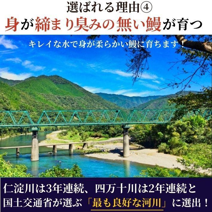 高知県産 うなぎ 蒲焼き 四万十川 仁淀川 食べ比べ 無投薬 国産  各1本  ギフト 贈答