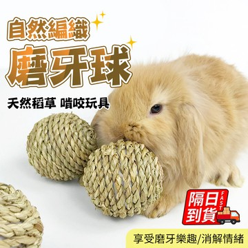 小寵草球 兔子玩具 兔子草球 提摩西草球 牧草球 天竺鼠 磨牙玩具 天然無污染 磨牙草球 磨牙玩具 QJ2922