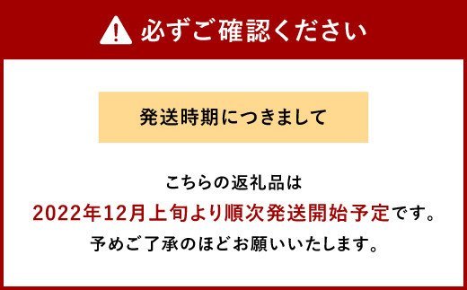 野菜ソムリエ岡田健志郎が育てた ミニトマト 1.2kg