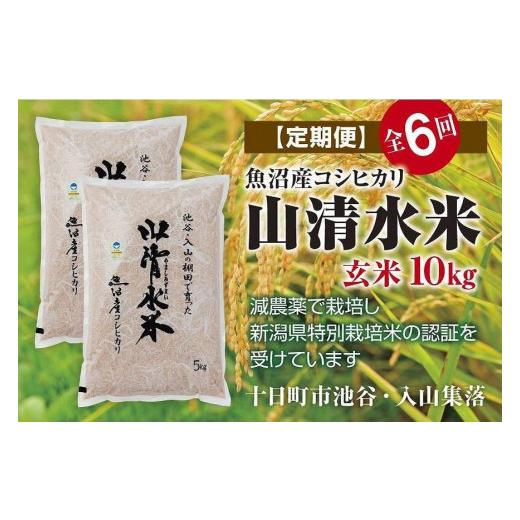 ふるさと納税 新潟県 十日町市 玄米10kg　新潟県魚沼産コシヒカリ「山清水米」