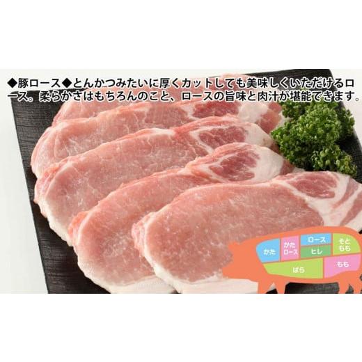 ふるさと納税 高知県 高知市 国産豚ロースステーキ肉・とんかつ用約500g 豚肉 トンカツ トンテキ ぶた ブタ