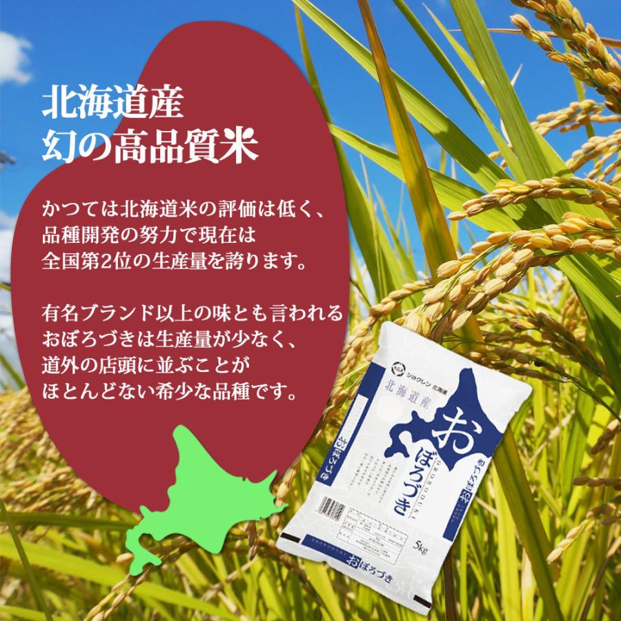 新米 おぼろづき 5kg 北海道産 お米 令和5年 道産米 おこめ 北海道米