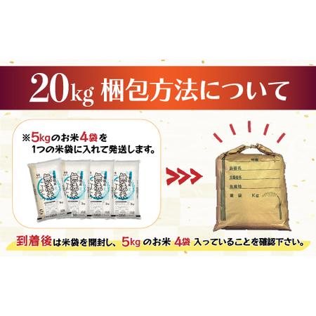 ふるさと納税 令和5年産 2年連続特A評価!千葉県産コシヒカリ20kg無洗米（5kg×4袋） 千葉県大網白里市