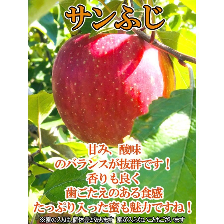 11月中旬　訳あり サンふじ 8キロ  長野産 減農薬 送料無料