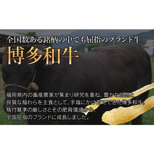 ふるさと納税 福岡県 田川市 博多和牛ヒレステーキ　5枚　計1kg（200g×5枚）