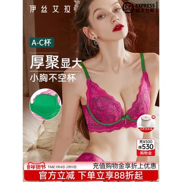 伊絲艾拉聚攏內衣女小胸顯大加厚收副乳防下垂蕾絲性感無鋼圈文胸