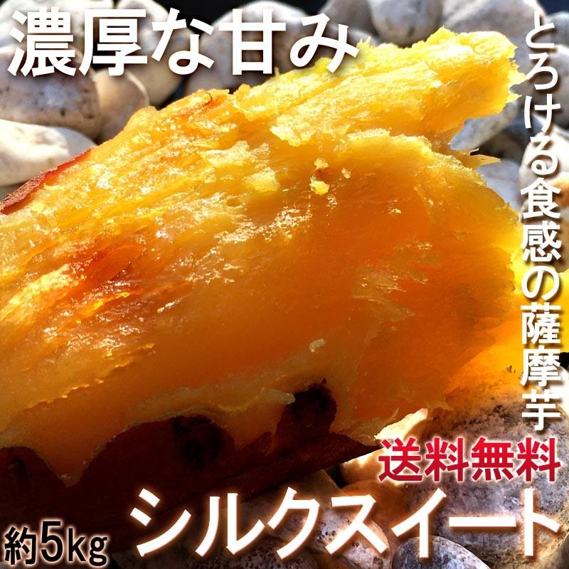 シルクスイート さつまいも 約5kg 千葉県・茨城県産 お得用 家庭用限定 産地箱入り 滑らかな食感と溢れんばかりの甘さ！