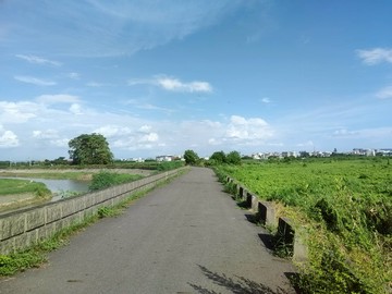橋頭五林路上農牧用地｜高雄市橋頭區芋林段