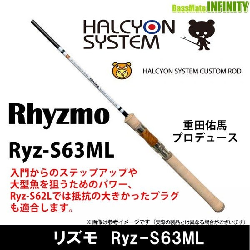 ハルシオンシステム Rhyzmo リズモ Ryz-S62L-