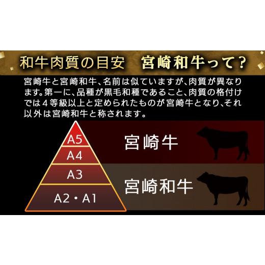 ふるさと納税 宮崎県 都城市 宮崎和牛切り落とし2kg(250g×8パック)_AC-I502_(都城市) 和牛 切り落とし モモ バラ ウデ スネ 真空 2kg 小分けパック