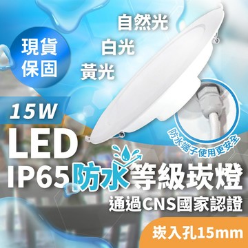 【IP65防水等級】LED 15W 15公分 防水崁燈 崁燈 白光 黃光 自然光 高效能 保固 IP65 嵌燈 防水端子