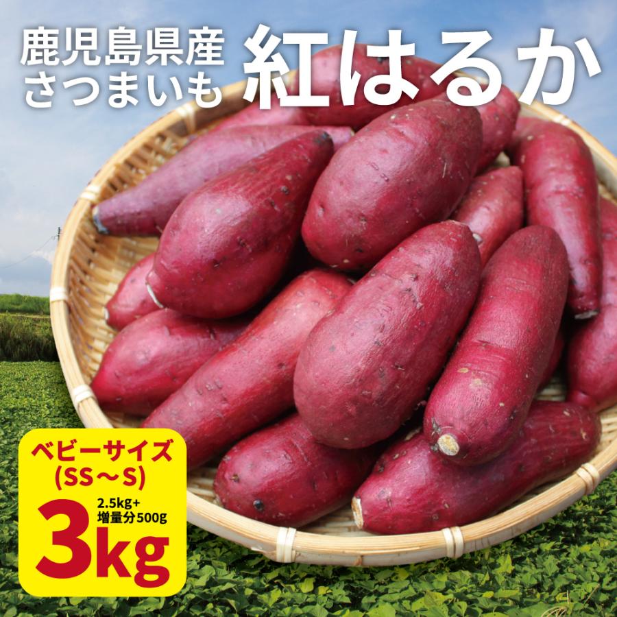 さつまいも 紅はるか ベビーサイズ 土付き 3kg (2.5kg 傷み保証分500g) (130g以下のSS〜Sサイズ） 2023年産