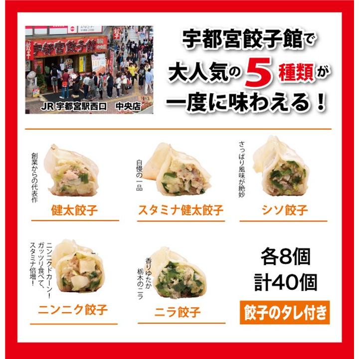 宇都宮餃子館 味わい5色セット 5種40個入り