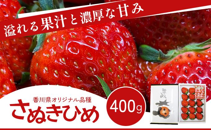 香川県オリジナル品種！ さぬきひめ苺 400g 化粧箱入り 年内受付