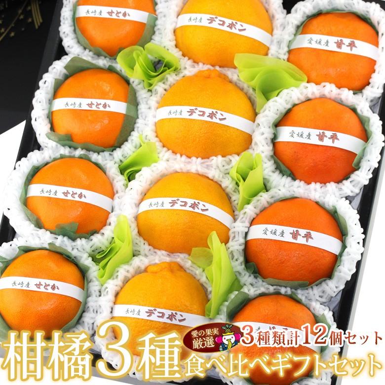 柑橘 みかん フルーツ くだもの 果物