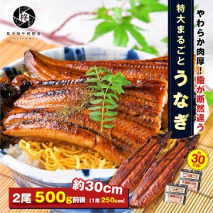 特大うなぎ 蒲焼き 2尾 500g 前後 (タレ 山椒 付) 送料無料 お取り寄せグルメ お中元 ギフト 贈り物 通販 冷凍食品 父の日