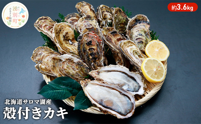 北海道サロマ湖産　カキ約3.6kg