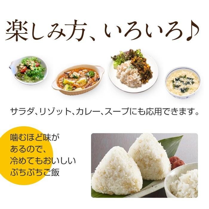 もち麦 もちむぎ 900g 無農薬 無肥料 自然栽培 ダイシモチ 宮崎県産 食物繊維