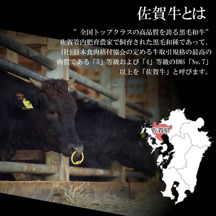 牛肉 黒毛和牛 ステーキ A5等級 佐賀牛 サーロインステーキ 200グラム 3枚 御礼 お祝い 内祝い 贈答 お中元 お歳暮