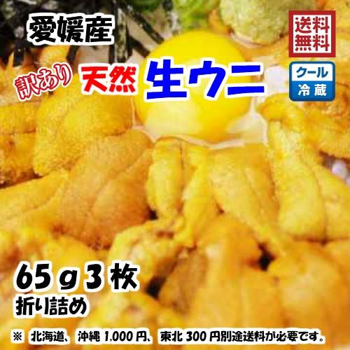 生ウニ 板ウニ 訳あり 60g3枚 愛媛 天然 紫ウニ 赤ウニ 素潜り海士 送料無料 北海道 沖縄 東北は別途送料 浜から直送 宇和海の幸問屋