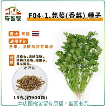 【綠藝家】F04-1.芫荽(香菜)種子15克(約900顆)//葉綠色，邊緣淺裂，葉柄白綠色香辛 辛香類