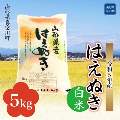 ふるさと納税 真室川町 令和5年産 はえぬき  5kg(5kg×1袋) 山形県 真室川町