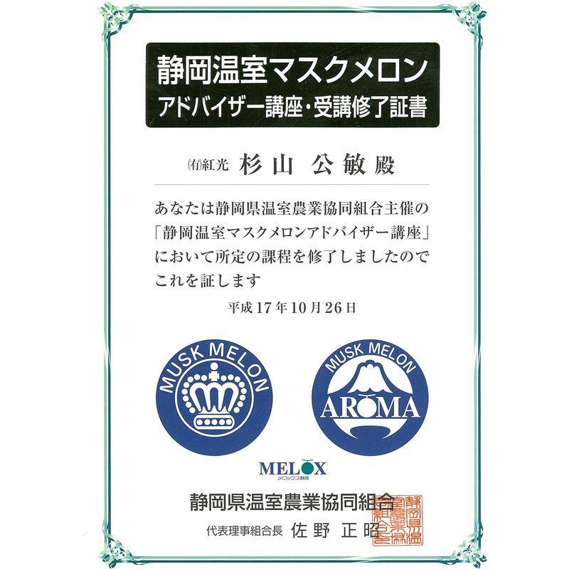 こだわりの果物屋 紅光 静岡産 クラウンメロン 風呂敷包装 大玉 1玉（1.4キロ前後） マスクメロン 果物 フルーツ