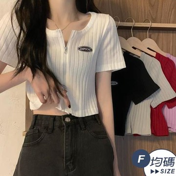 【LANNI 藍尼】現+預 前開拉鍊舒適輕巧短袖T恤(輕鬆休閒/前開拉鍊/針織短袖/短版T恤)