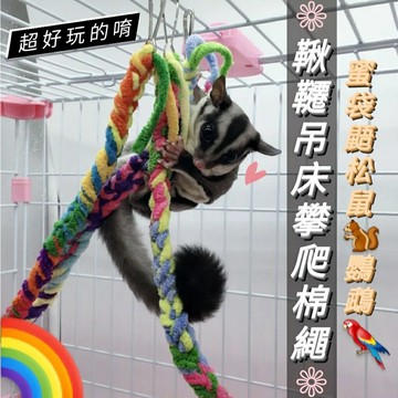 【鼠勾乙】蜜袋鼯攀爬棉繩 ??鸚鵡?? 松鼠?? 吊床玩具 爬繩 攀爬鞦韆 各式鳥類玩具