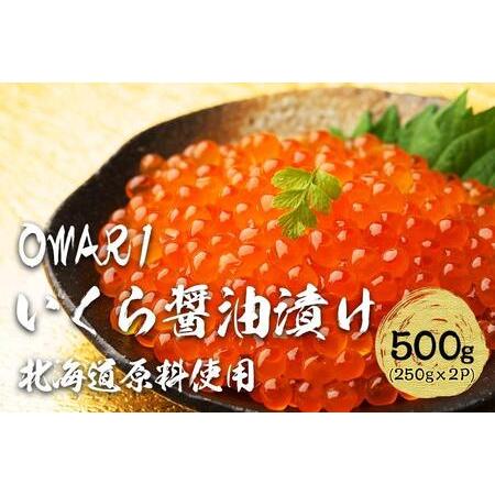 ふるさと納税 いくら 醤油漬け 500g(250g×2パック) 北海道 秋鮭卵 冷凍 OWARI 愛知県名古屋市