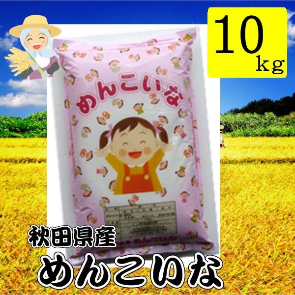 秋田県産 めんこいな 10kg 令和5年産 米 香りがよく さっぱりとした食感 お取り寄せグルメ ごはん ご飯