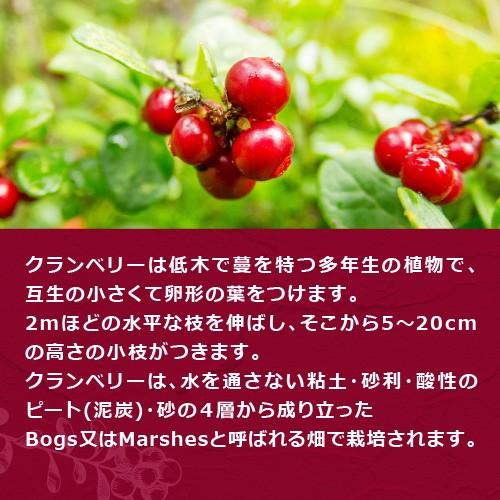 クランベリー 1kg アメ横 大津屋 業務用 ドライ ナッツ ドライフルーツ 製菓材料 Cranberry くらんべりー