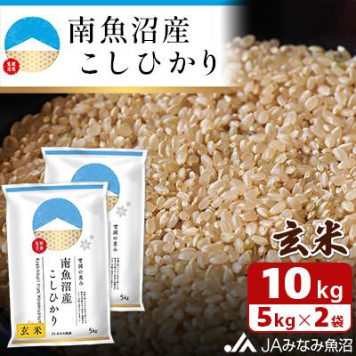 ふるさと納税 南魚沼市 JAみなみ魚沼不動の人気「南魚沼産こしひかり」玄米 10kg(5kg×2袋)