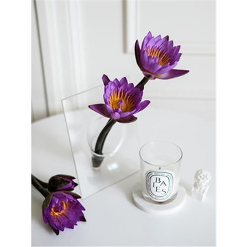 現代簡約玻璃花瓶