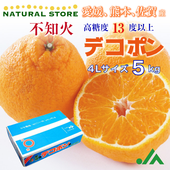 [予約 2023年12月31日必着] デコポン 不知火 5kg 愛媛県産 佐賀県産 熊本県産 ４Ｌサイズ  柑橘 高糖度 みかんの王様 冬ギフト お歳暮 御歳暮 大晦日必着指定 冬ギフト お歳暮 御歳暮