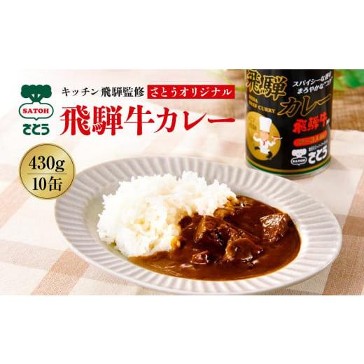 ふるさと納税 岐阜県 高山市 キッチン 飛騨監修 さとうオリジナル 飛騨牛カレー 10缶 飛騨牛入り ビーフカレー 飛騨高山 高山 ご当地カレー …