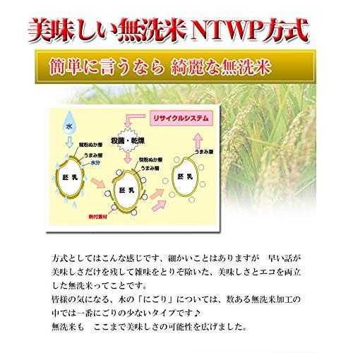  新米 富山県 無洗米こしひかり 5kgx2 令和5年産