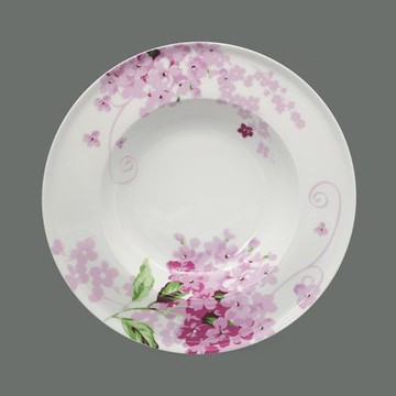 10英寸唐山骨瓷西餐盤意大利面盤家用湯盤深盤子菜盤意面盤寬邊盤