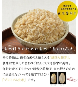 定期便6ヶ月 赤飯120g×24個・金のいぶきプレミアム玄米ごはん120g×24個セット パックごはん パックご飯 防災 米 レトルト ごはんパック