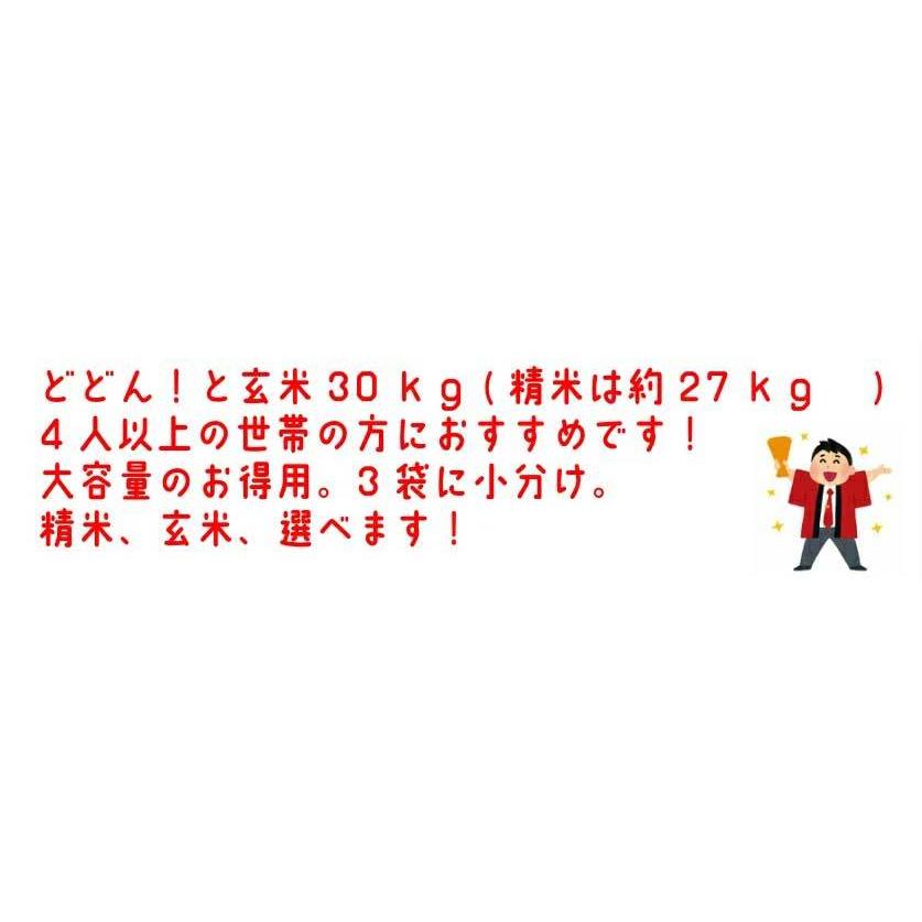 送料無料　令和5年産 新米 千葉県産ふさこがね 玄米30kg (10kg×3袋) 精米無料