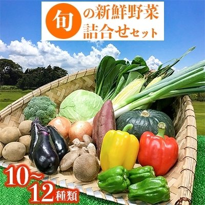 ふるさと納税 潮来市 旬の新鮮野菜詰合せセット