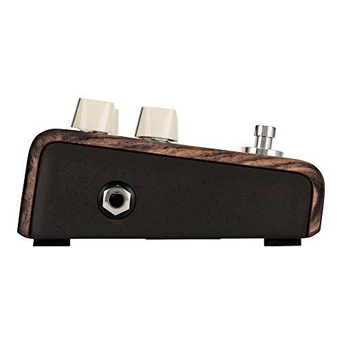 LR Baggs Align Chorus Acoustic Chorus Pedal 並行輸入品