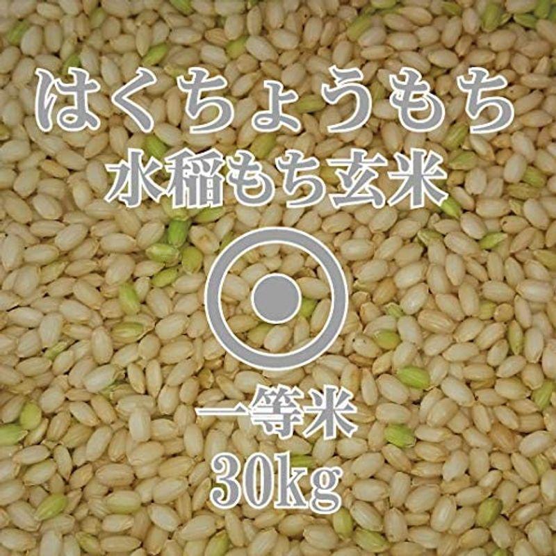 はくちょうもち 玄米 30kg 令和４年産 北海道産 もち米