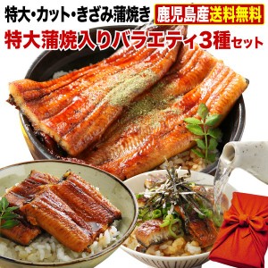 父の日 プレゼント ギフト うなぎ 食べ物 グルメ うなぎ 国産 鹿児島産 ブランド鰻 特大・カット・きざみ蒲焼き 3種蒲焼セット 送料無料