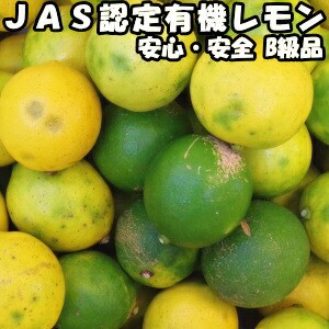 レモン 国産 5kg B品 訳あり 有機 JAS認証  オーガニック ノーワックス 防腐剤不使用 皮まで食べれる 佐賀 佐藤農場