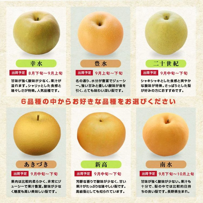 訳あり 梨 10kg 送料無料 長野県産 選べる品種！ 幸水 豊水 二十