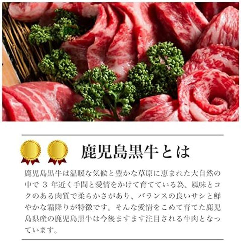 熟成肉と鹿児島県産黒毛和牛の食べ比べセット 熟成モモステーキ 加熱用 100g ｘ6枚 鹿児島県産黒毛和牛 サーロインステーキ 200g ｘ