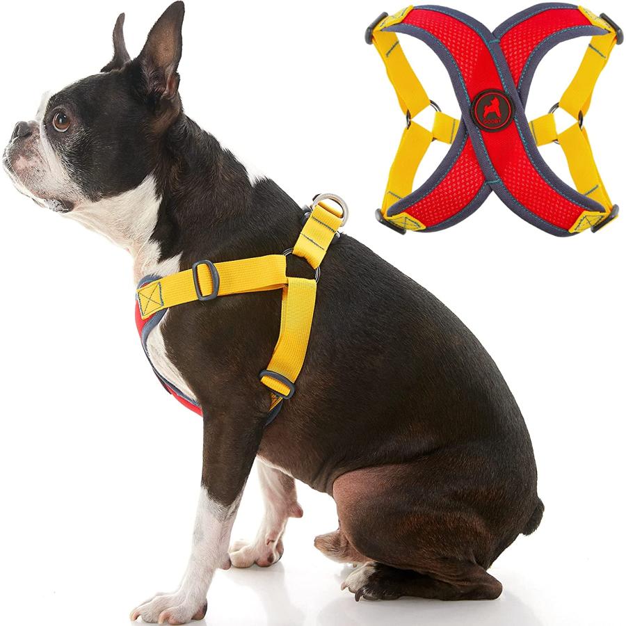 Gooby Comfort X Head-in Harness, Green, Medium : : Pet Supplies